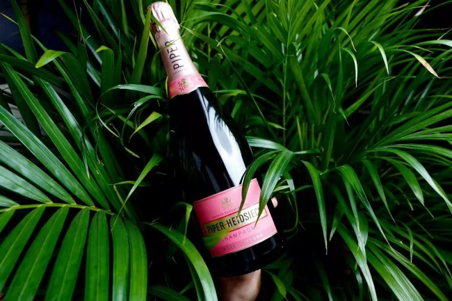 Champange – Bäst och dyrast